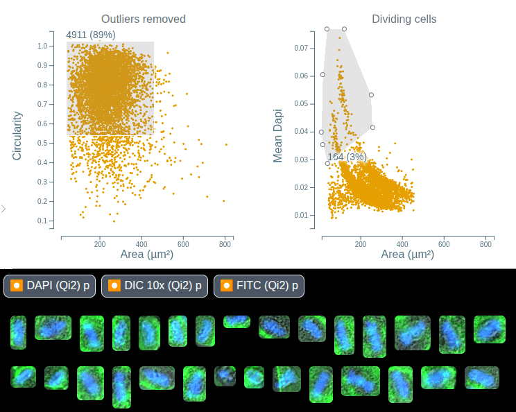 Interactive Gating with Visual Verification