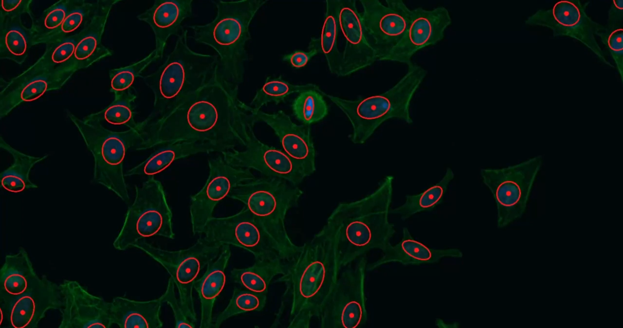 No-Code Segmentation