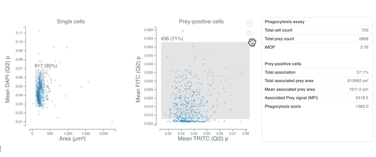 Explore Instantly & Interactively