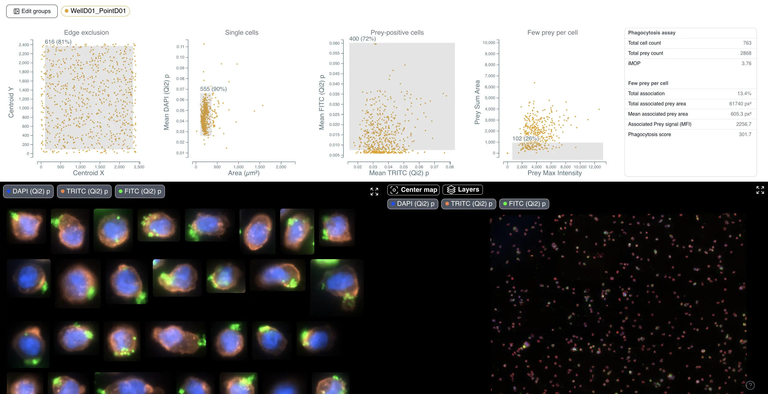 Phagocytosis Assay