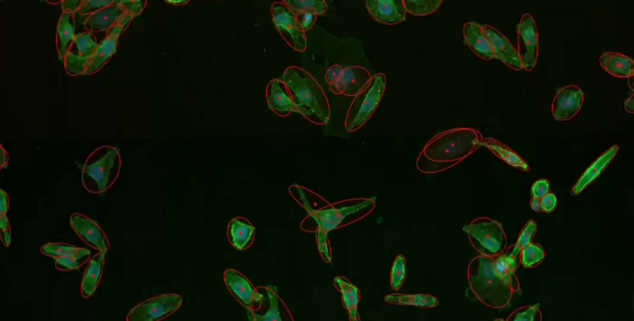 Works With Your Existing Microscope