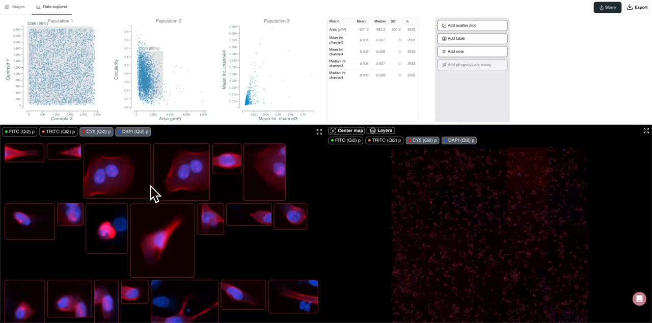 Transfection Efficiency Analysis
