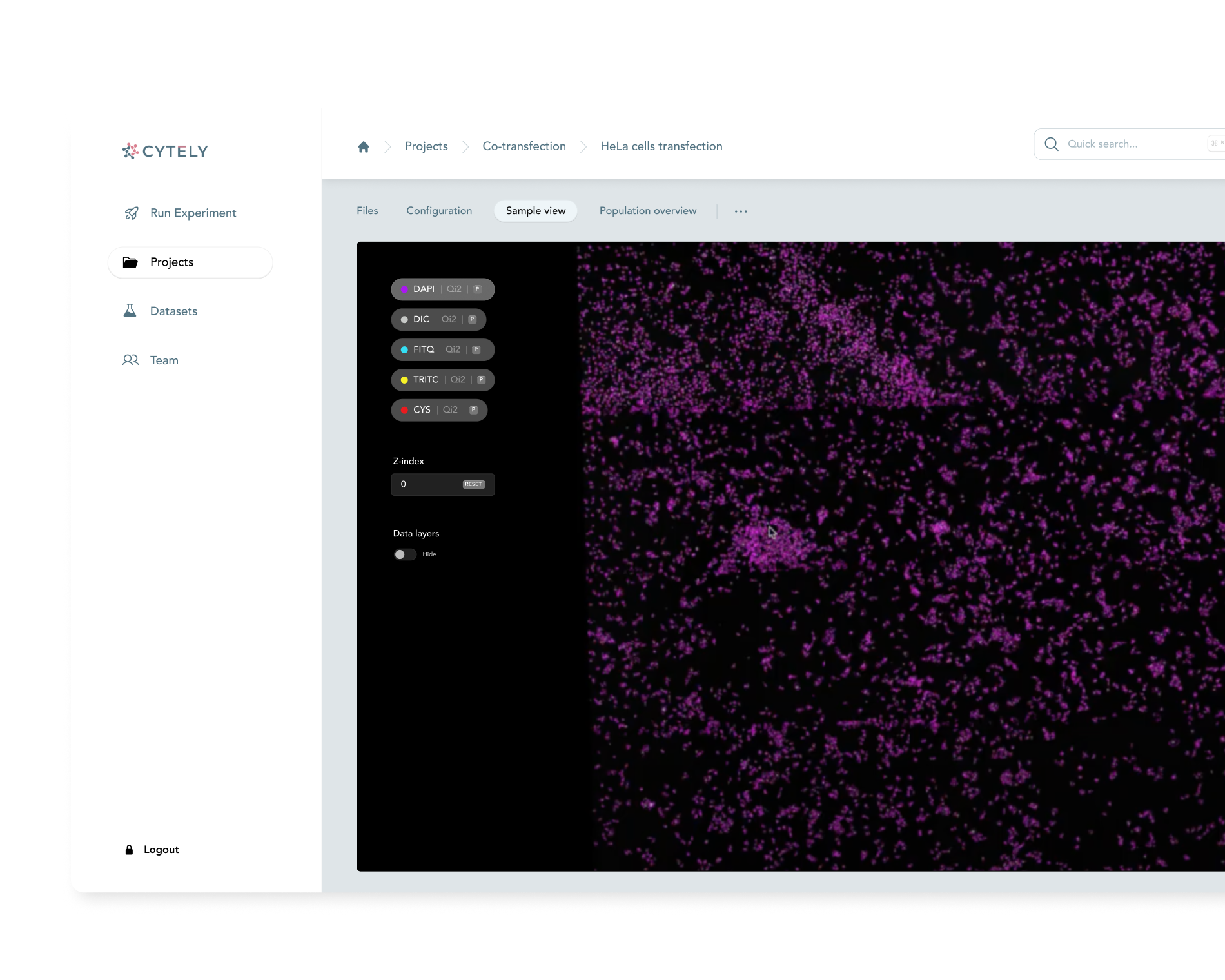 Image for Initial scan
