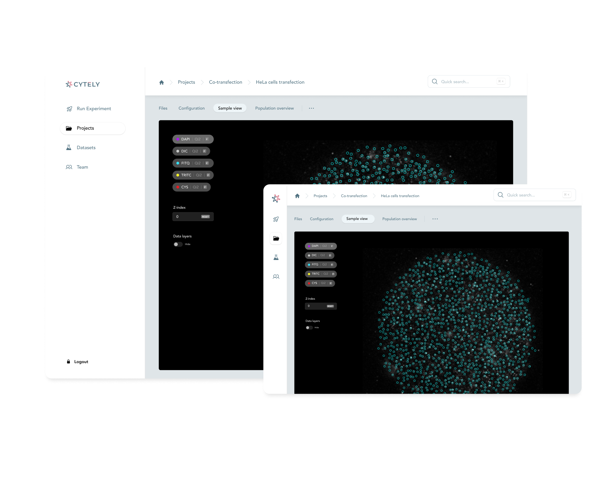 Image for Reproducible output